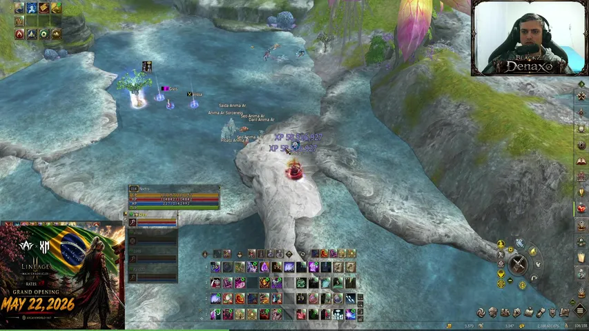 denaxo Lineage 2 stream image