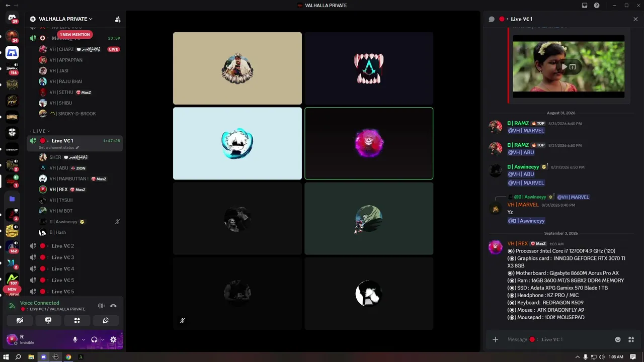MASZ_REX live
