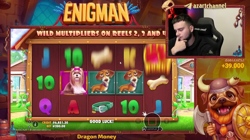 enigmoo playing Slots & Casino - Live Casino Stream