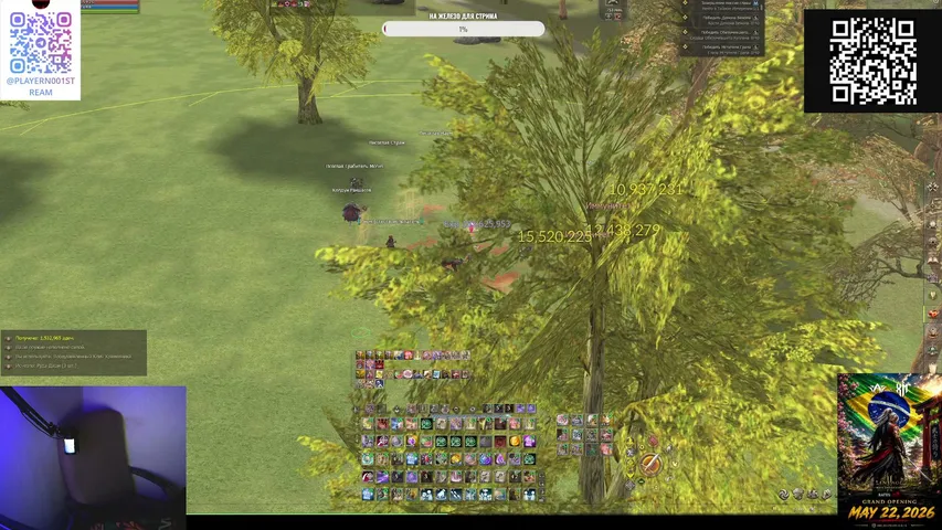 playern0o1 Lineage 2 stream image