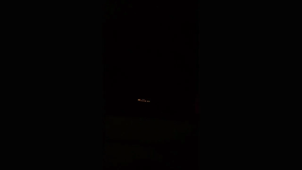 MRratus012A live