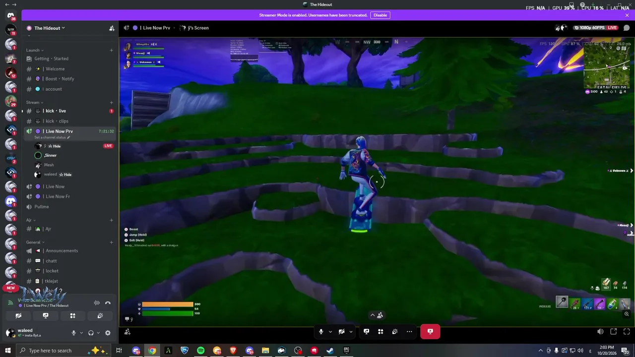 lWely live stream