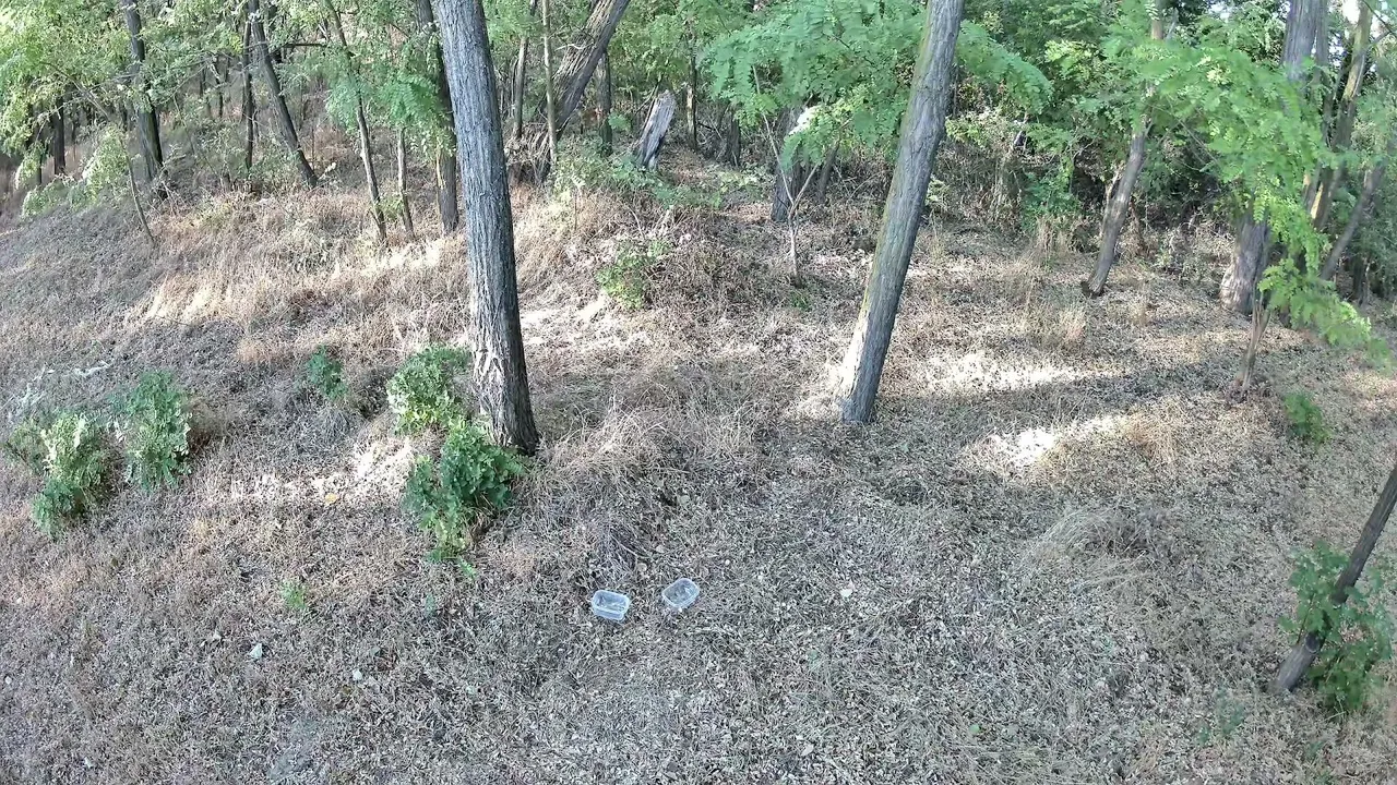 UntamedLiveFromBackyard live