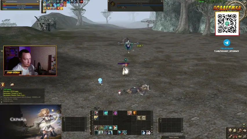 johnystormy Lineage 2 stream image