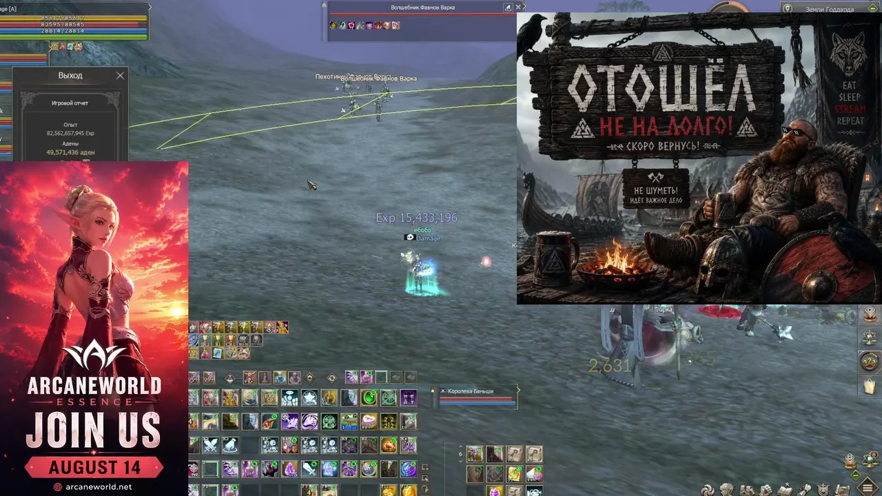 Damage_1488
