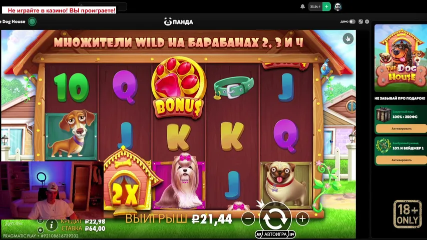 uzh-naskovorodke playing Slots & Casino - Live Casino Stream