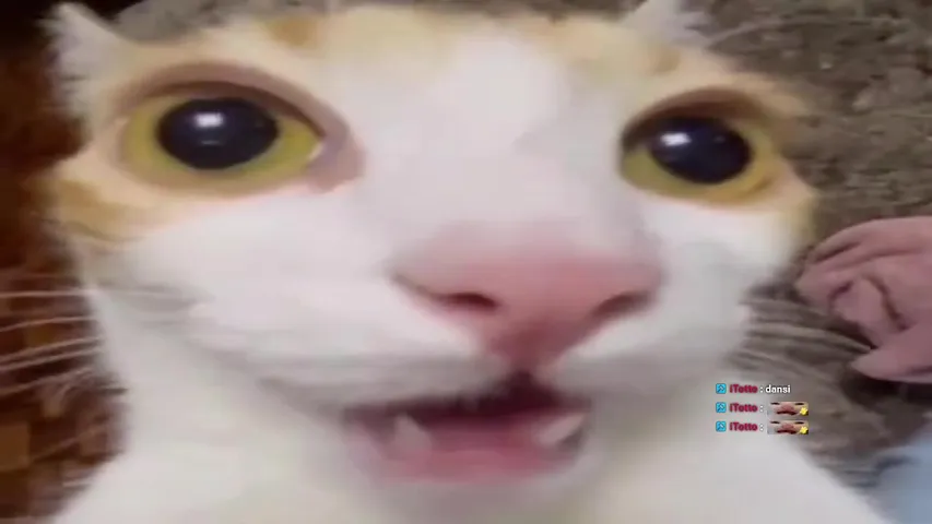 Kirk no esta tan chido we