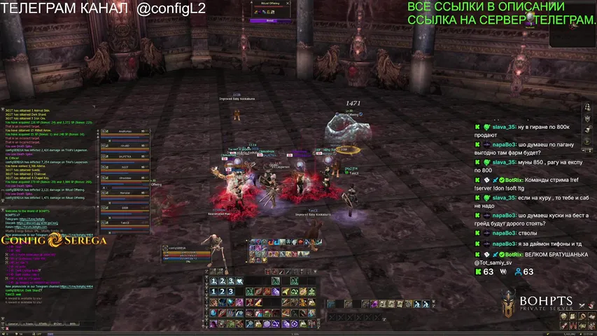 configserega Lineage 2 stream image