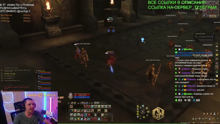 configserega Lineage 2 stream image