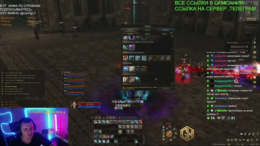configserega Lineage 2 stream image