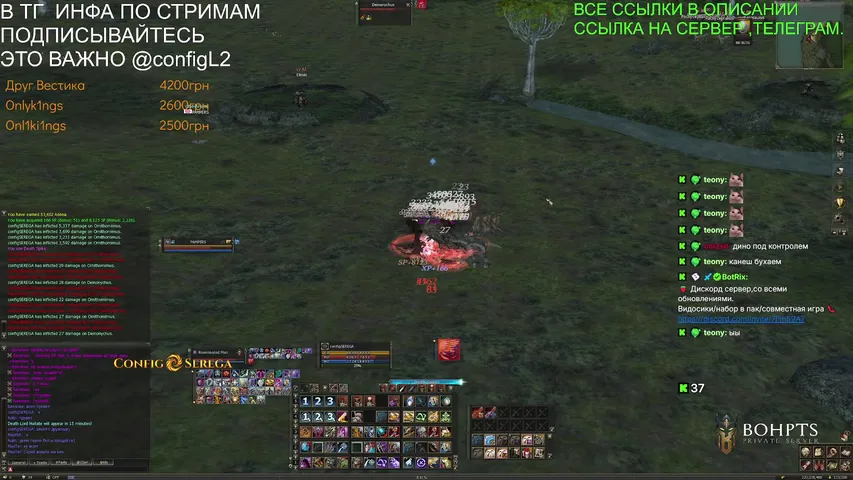 configserega Lineage 2 stream image