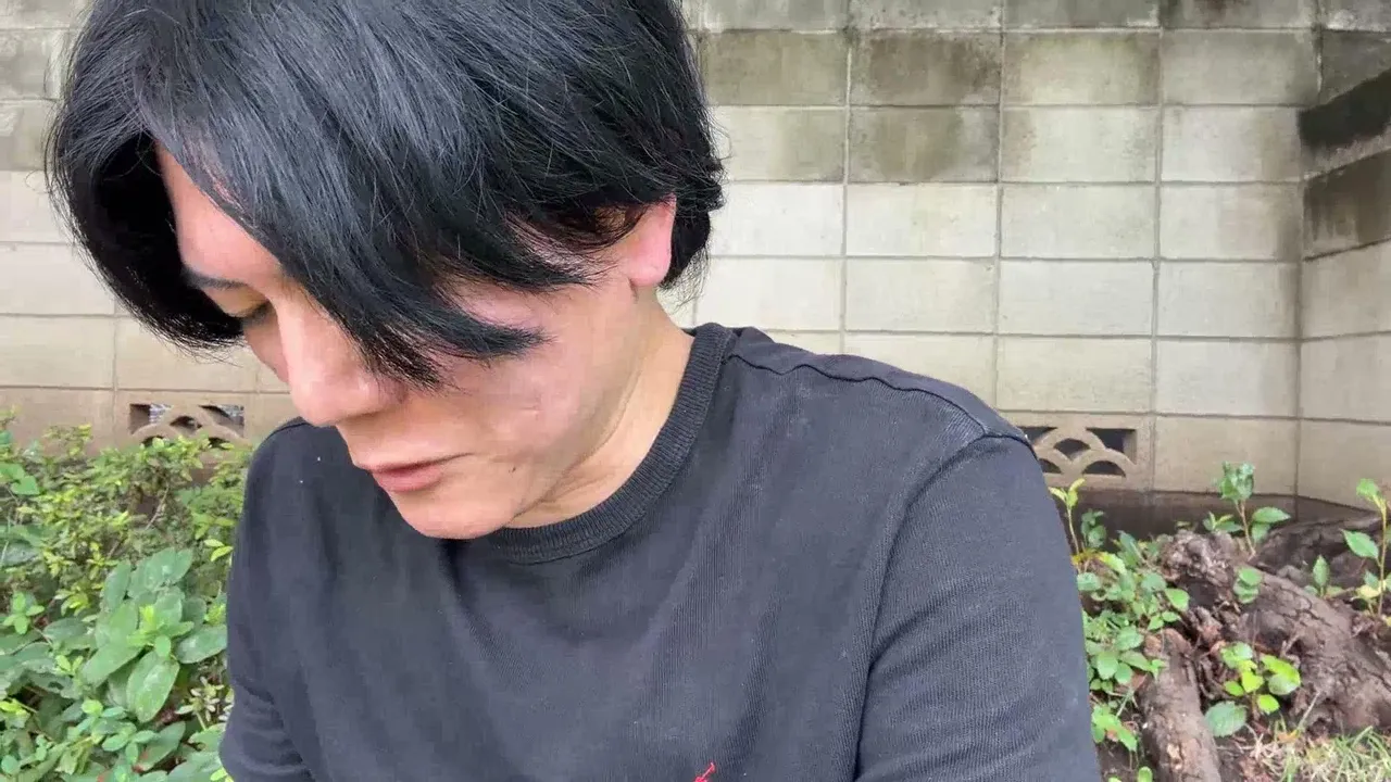 namedarumajan live