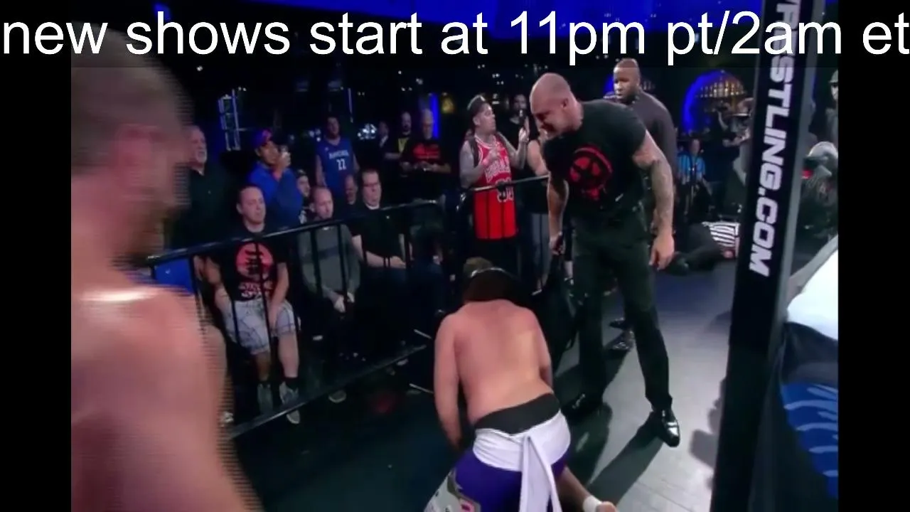 pinkdognights live