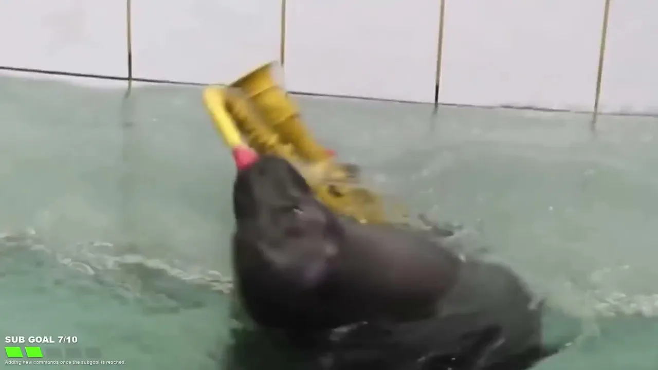 FlexingSeal