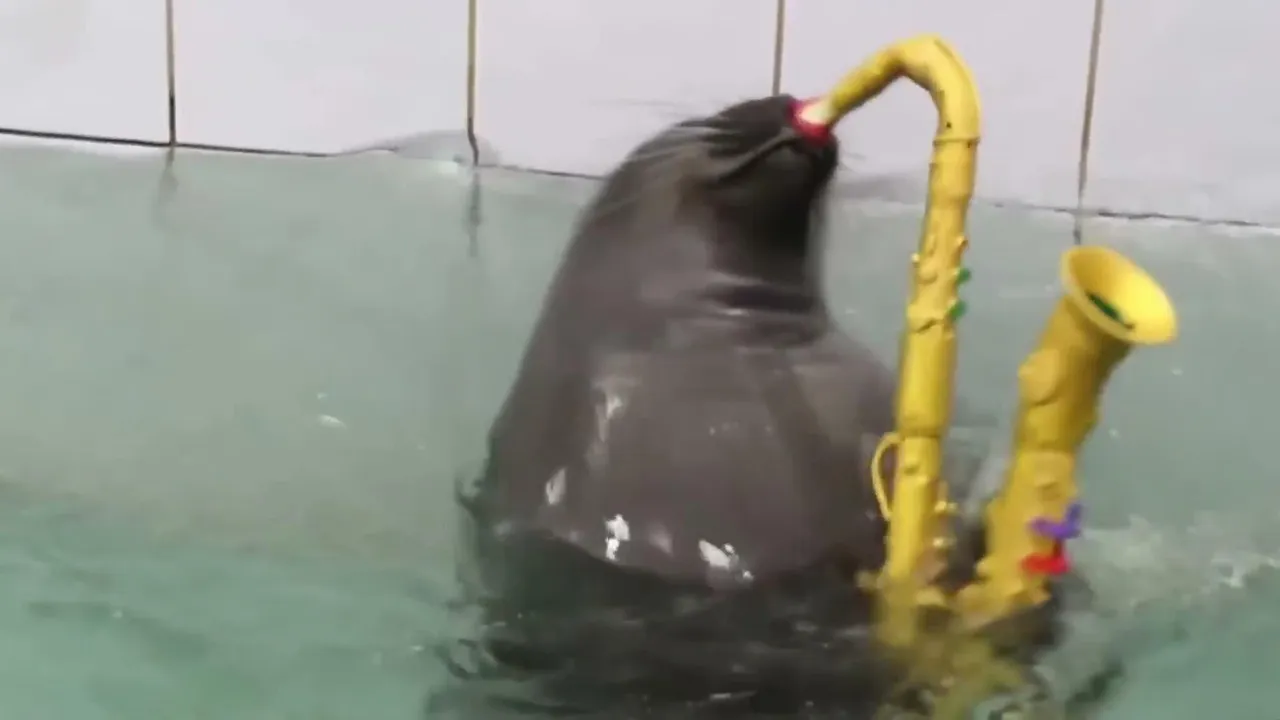 FlexingSeal