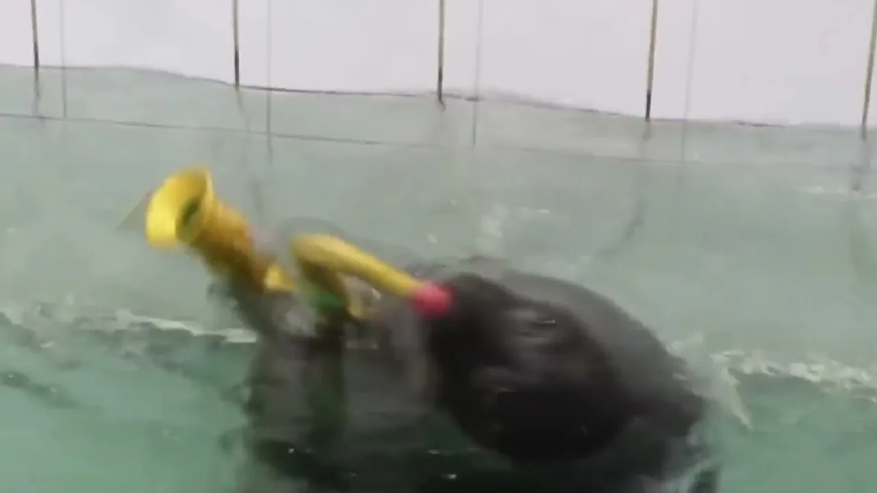 FlexingSeal