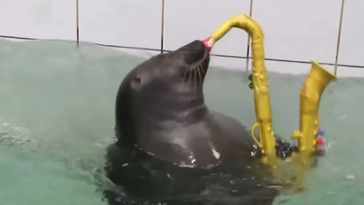 FlexingSeal