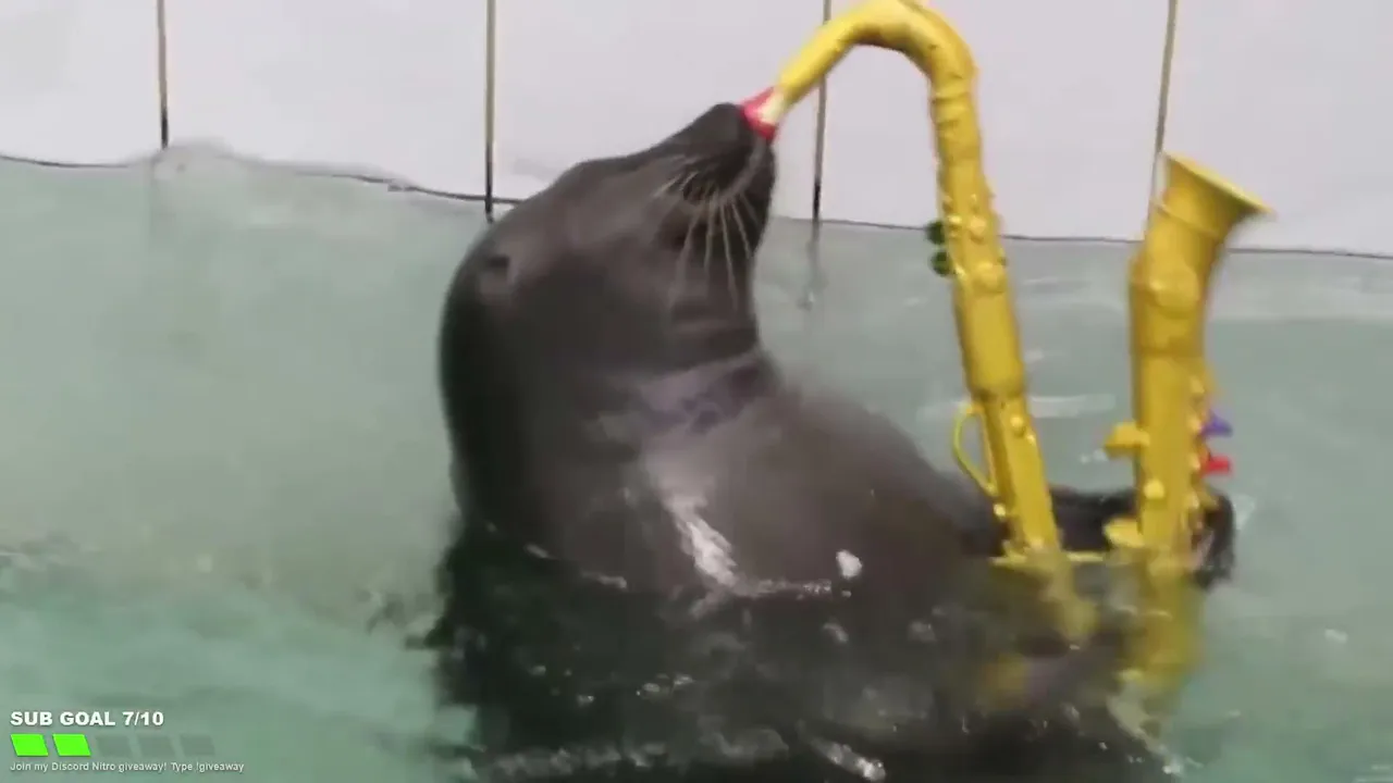 FlexingSeal