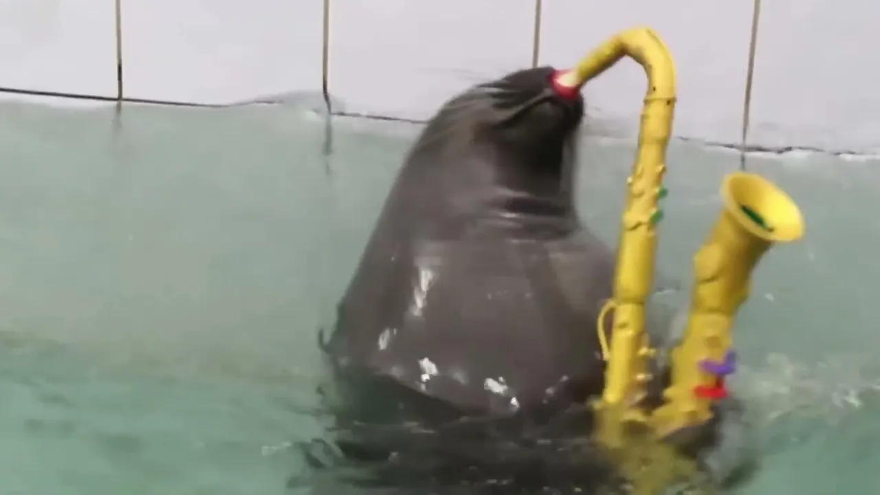 FlexingSeal