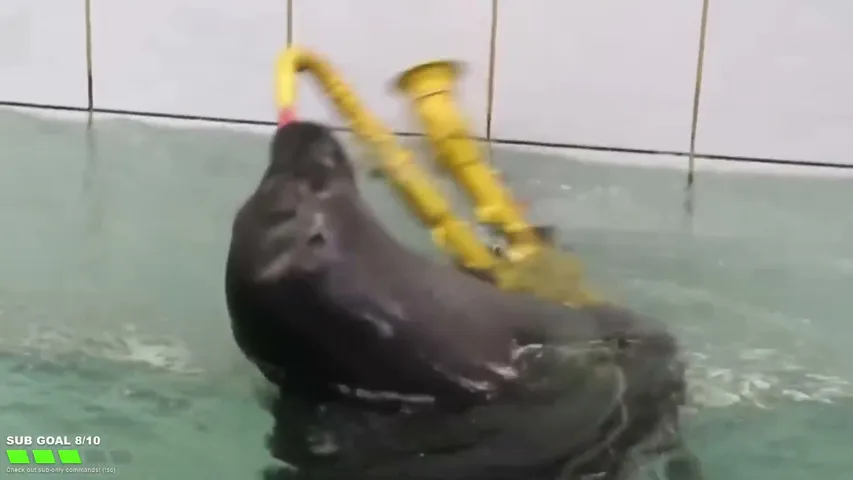 Live preview of flexingseal's Kick stream