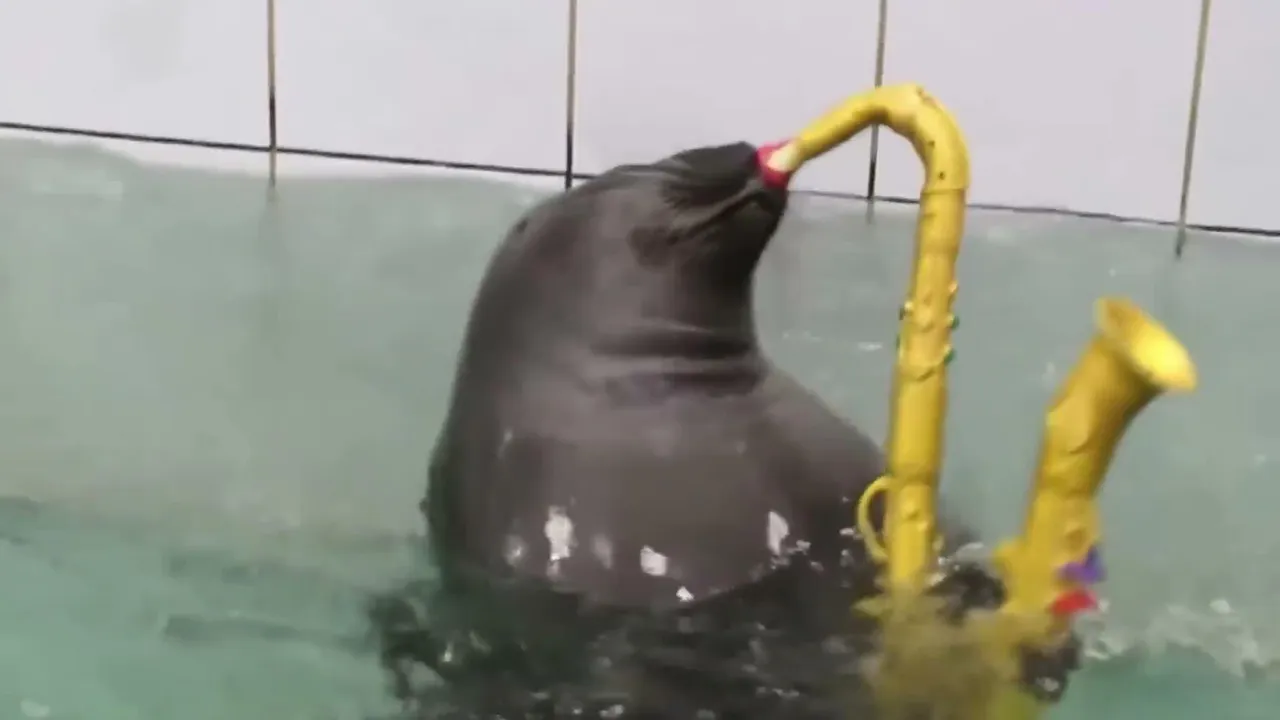 FlexingSeal