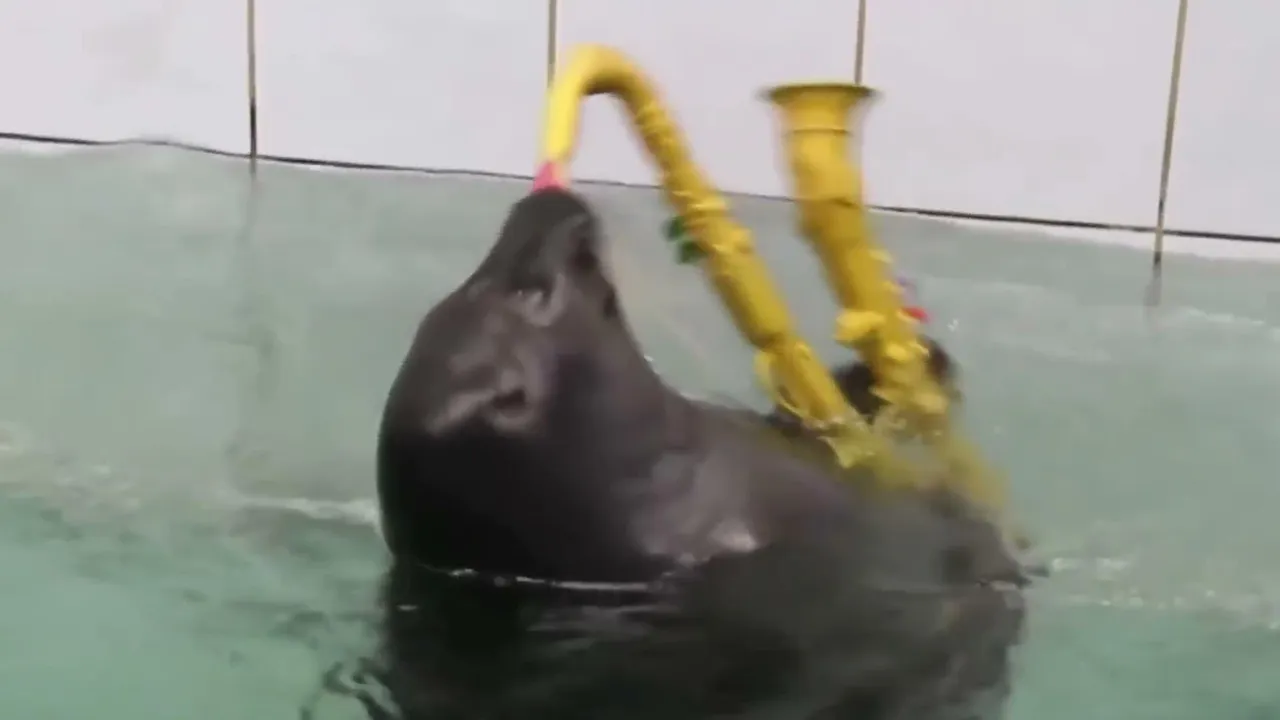 FlexingSeal