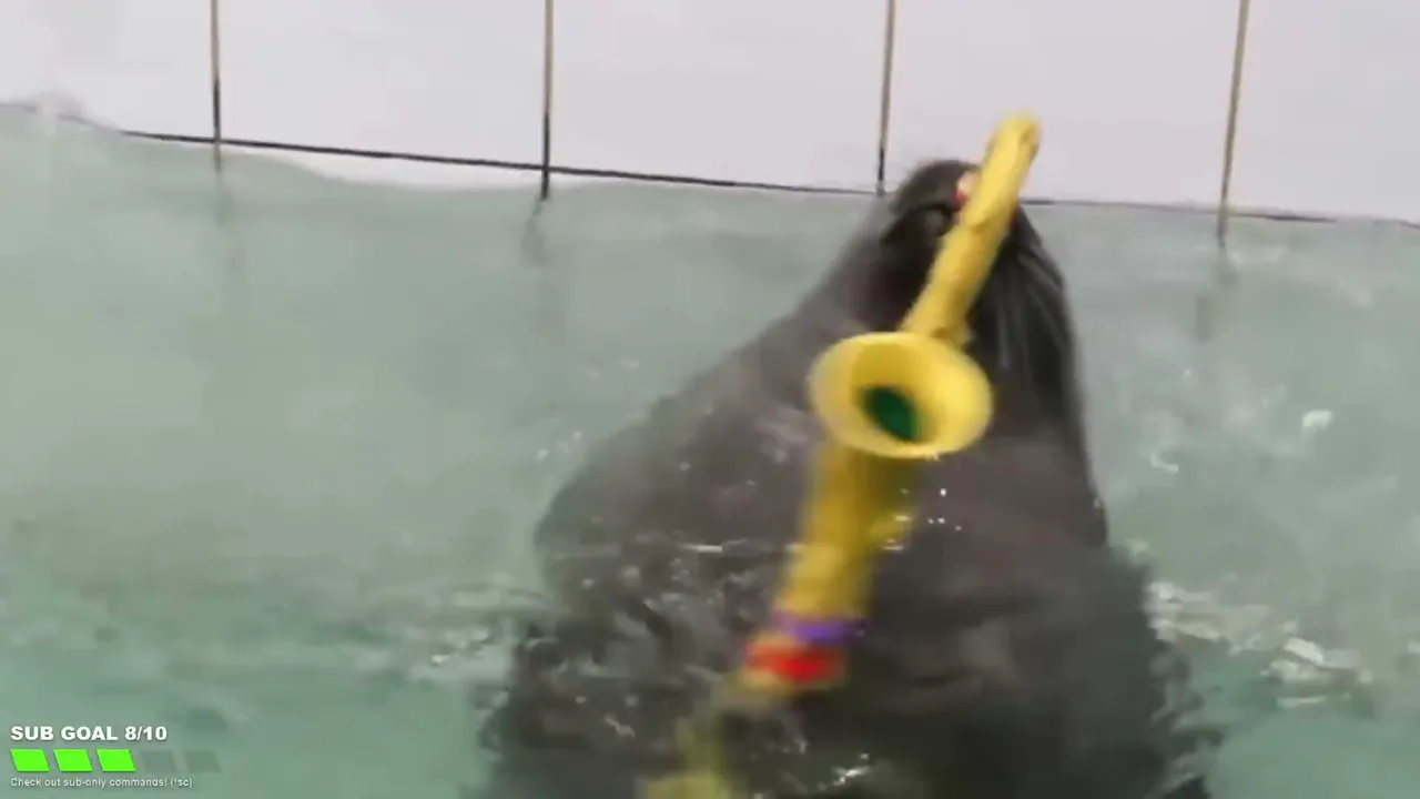 FlexingSeal