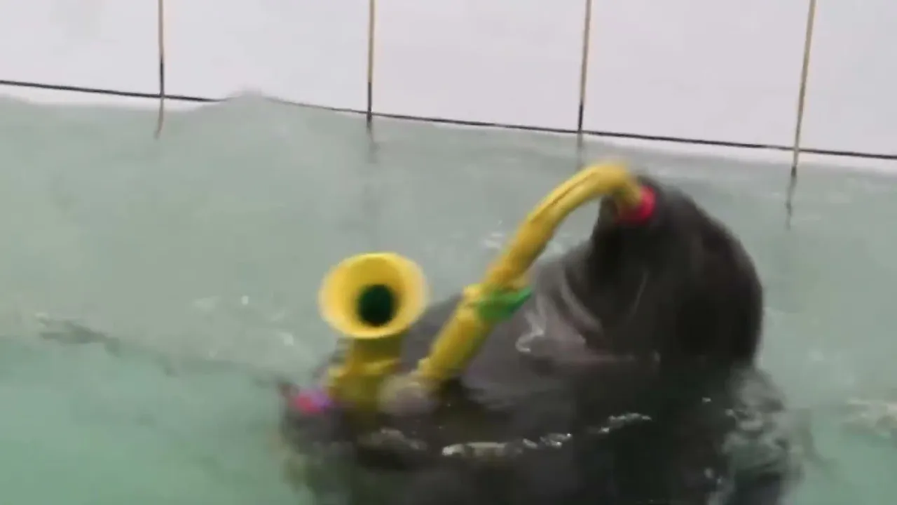 FlexingSeal