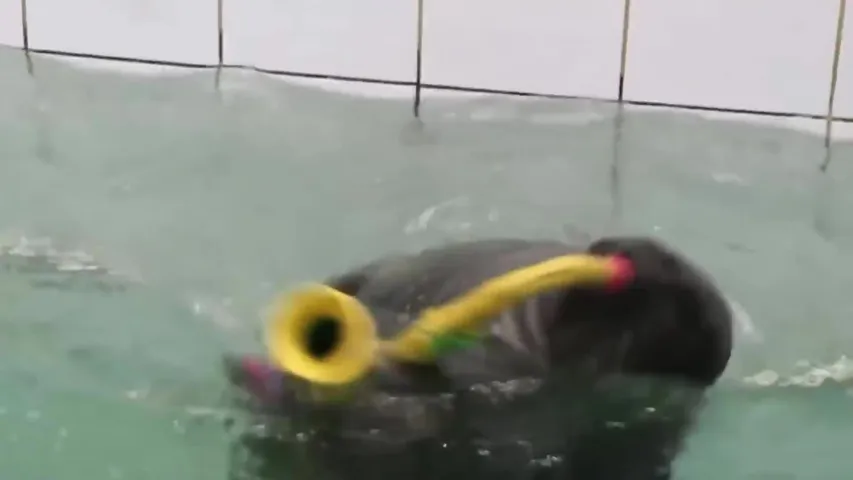 DON'T BE UPSET | NEED SOME REST? COME HERE AND RECOVER | !sax !spin !epicseal