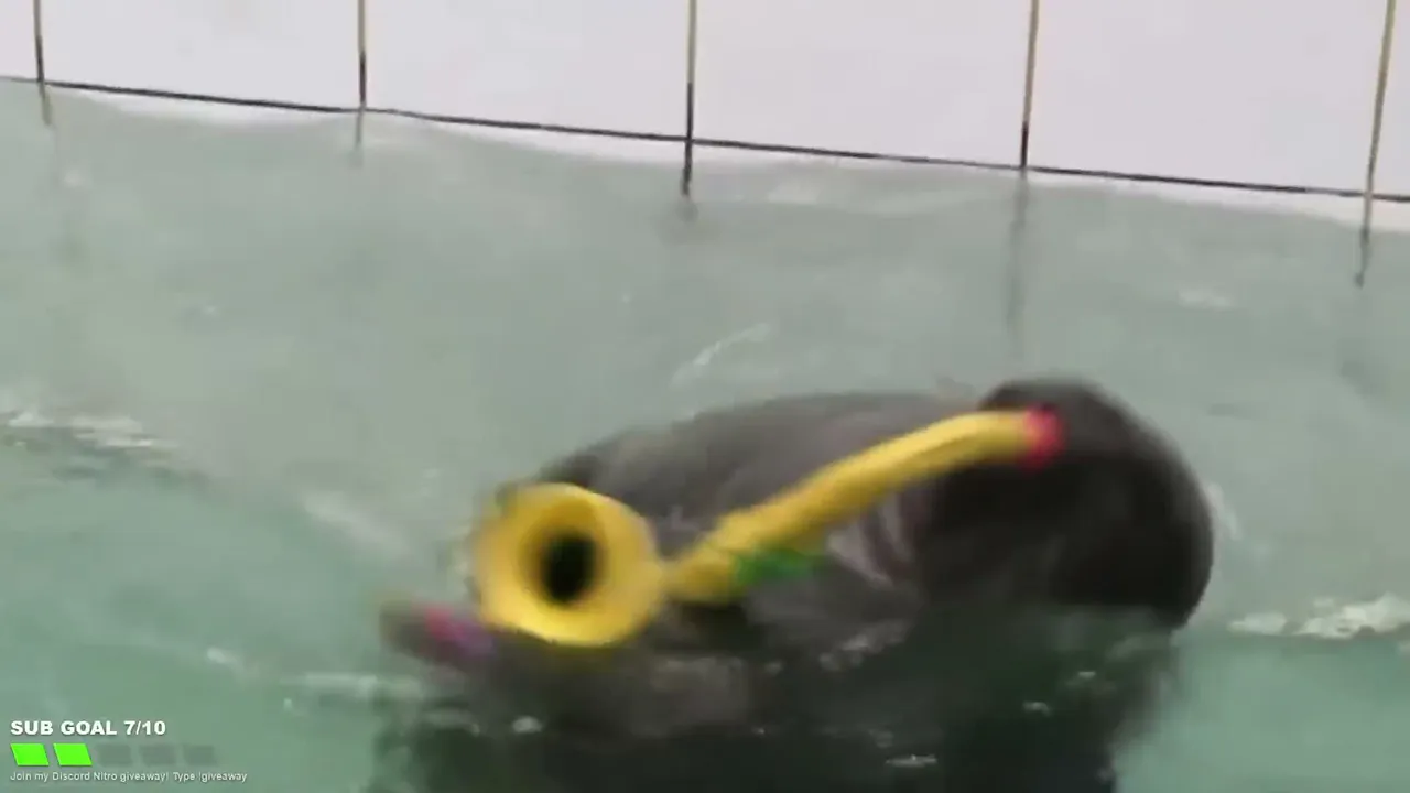 FlexingSeal