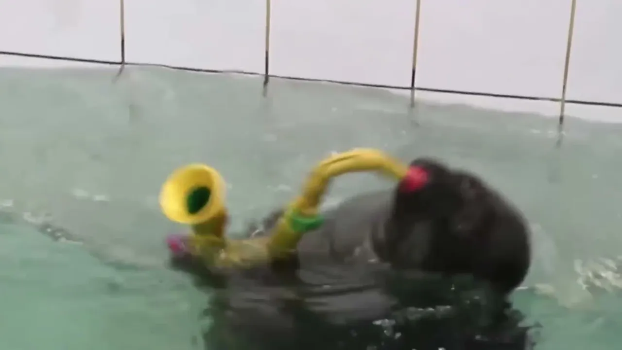 FlexingSeal