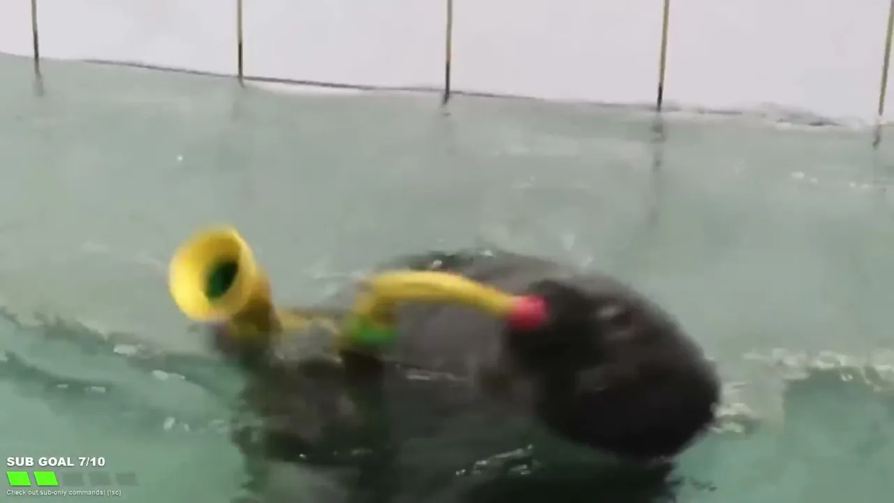 FlexingSeal