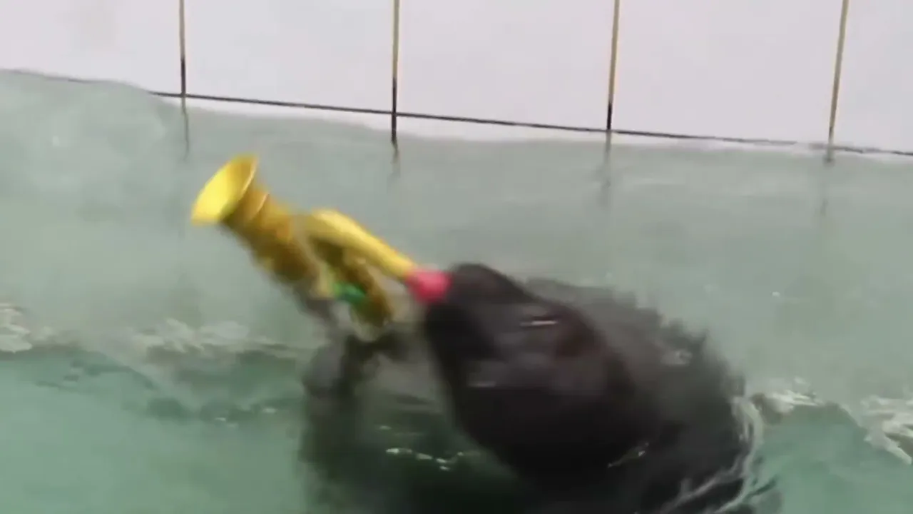 FlexingSeal