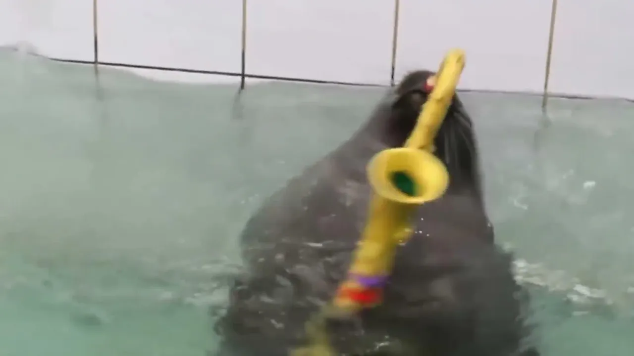 FlexingSeal