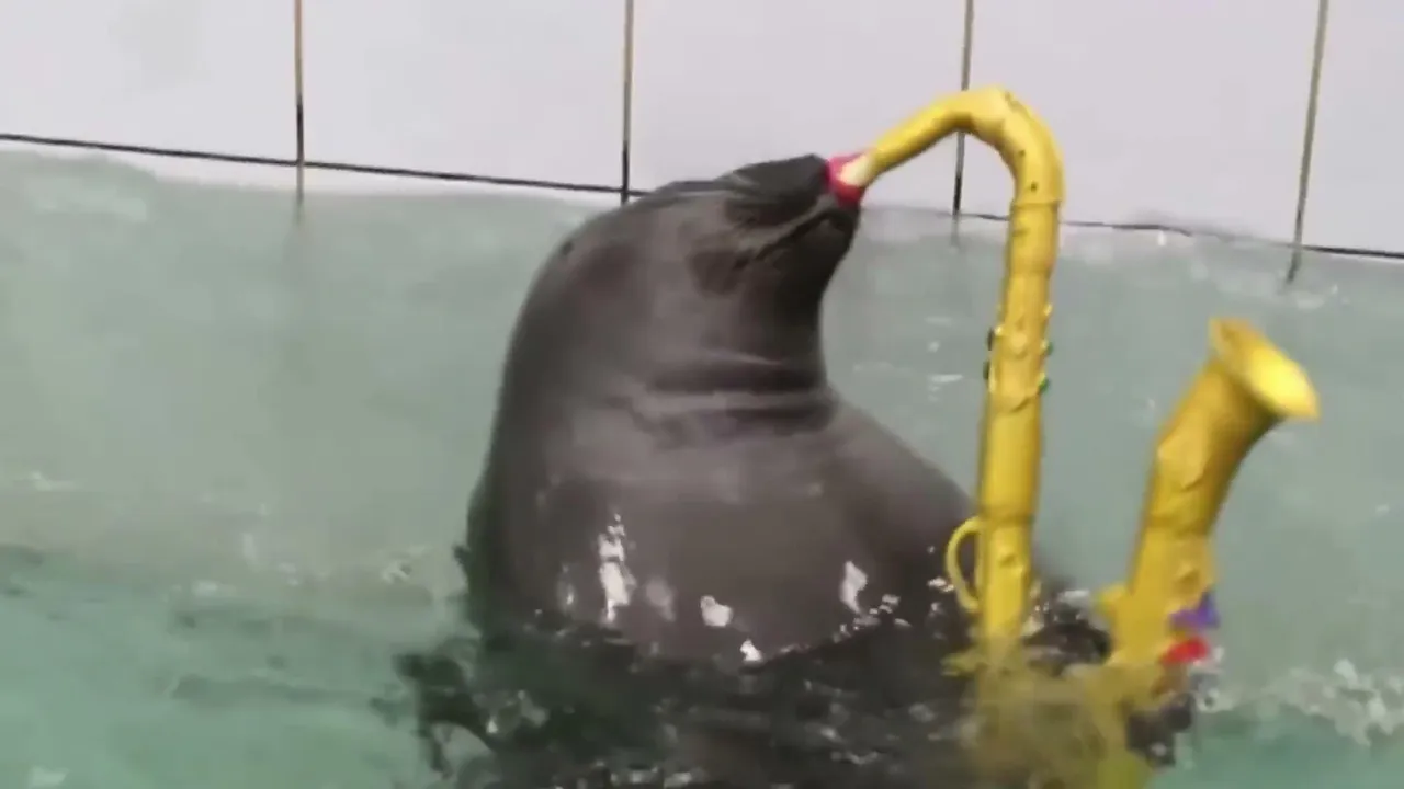 FlexingSeal
