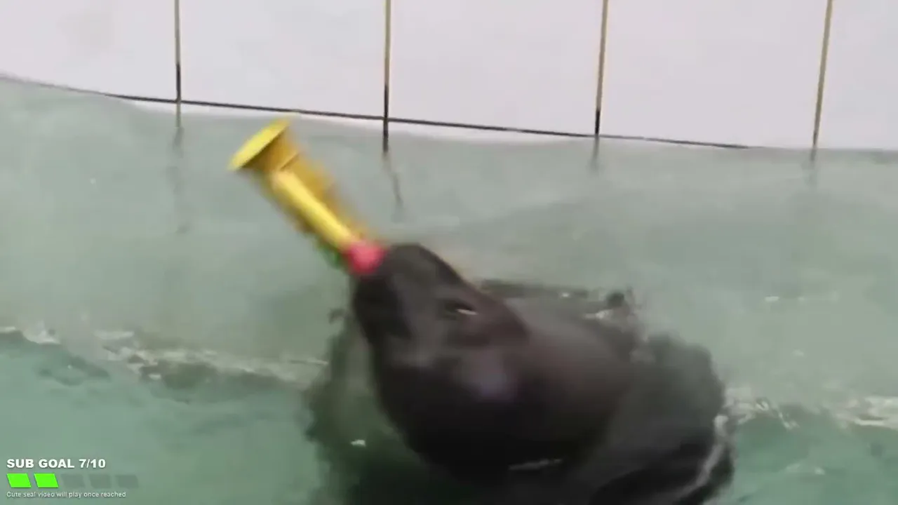 FlexingSeal