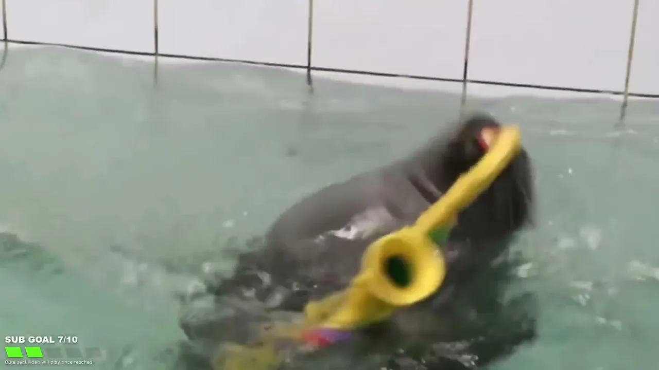 FlexingSeal