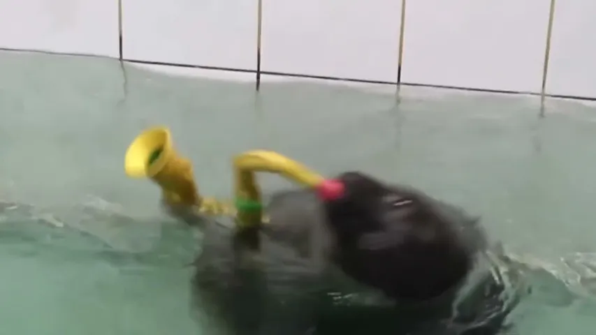 flexingseal