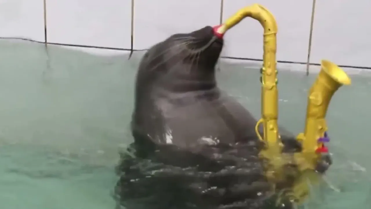 FlexingSeal