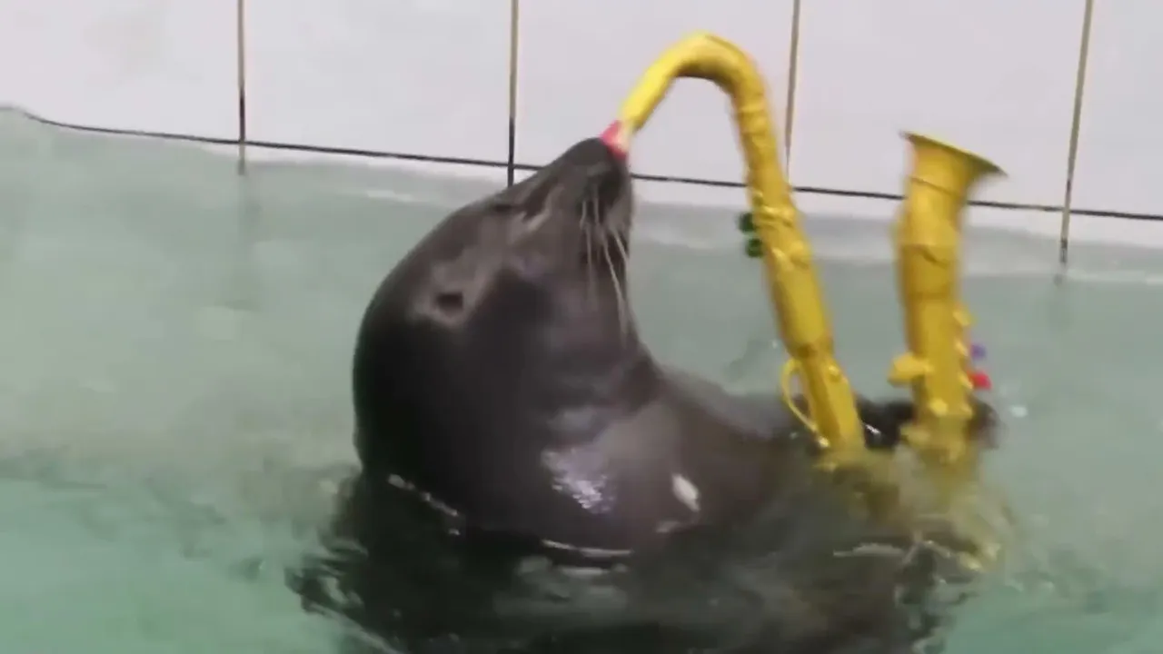 FlexingSeal