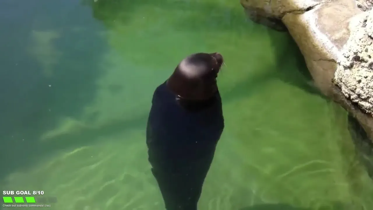 FlexingSeal