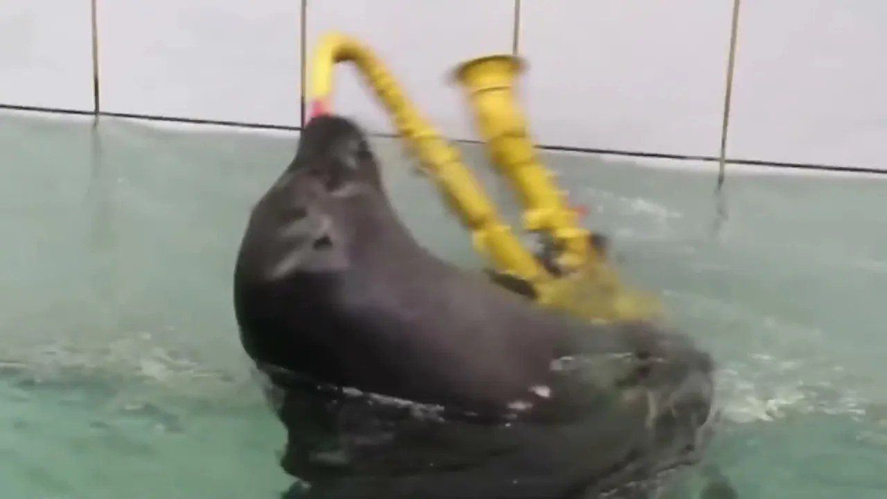 FlexingSeal