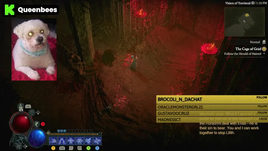 🐝(UK Streamer) Hey cuties come in and show some love (PS5/XBXSX/SWITCH)🐝 Path to Verification CCV 8.83/50 1/10