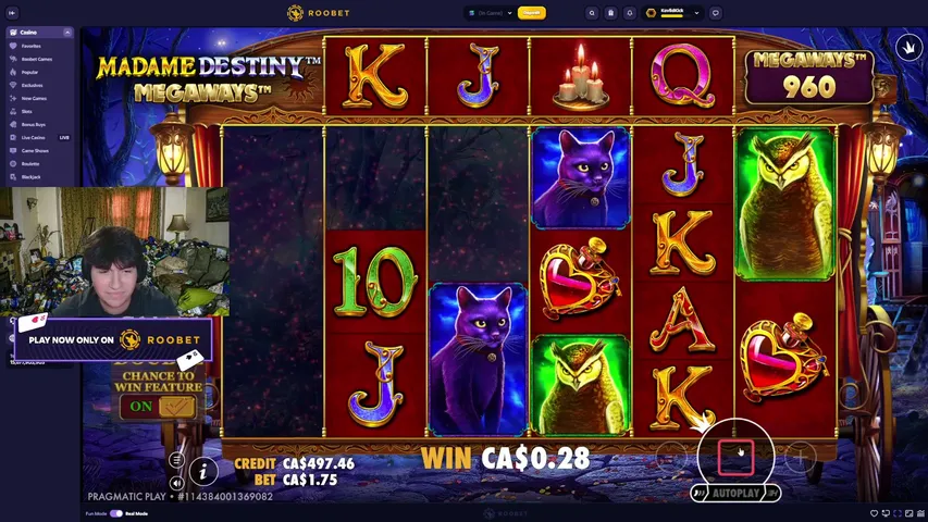 koviid playing Slots & Casino - Live Casino Stream