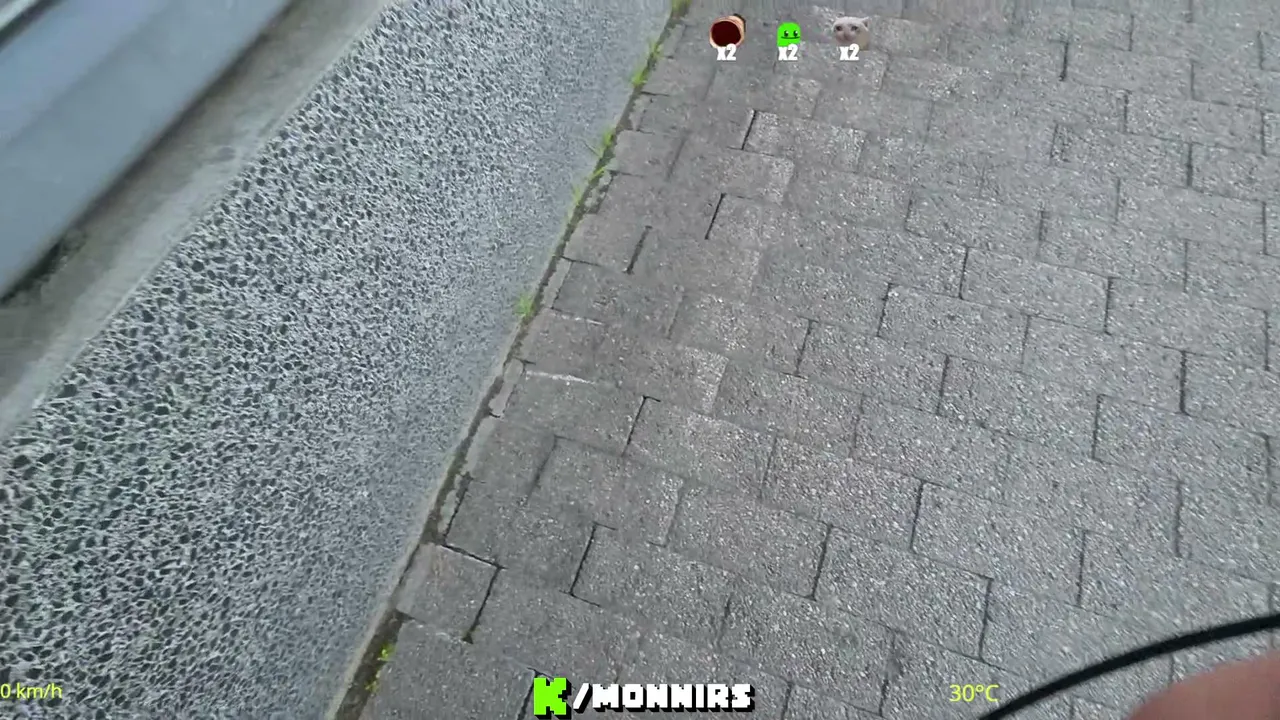 MonniRS