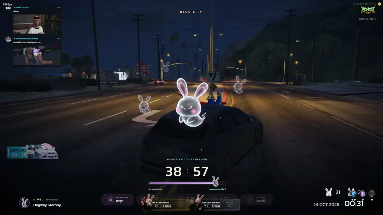 oogway_stb live stream