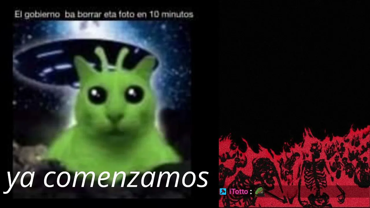 Stringer000 live