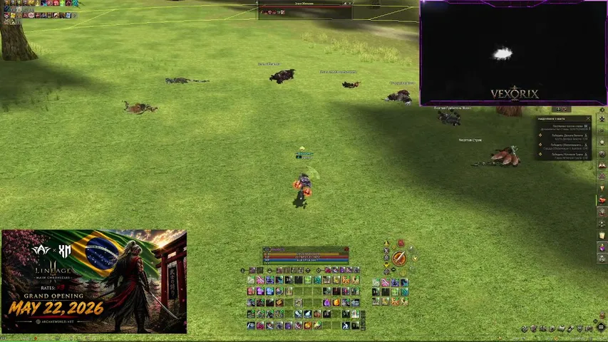 ivexorix Lineage 2 stream image