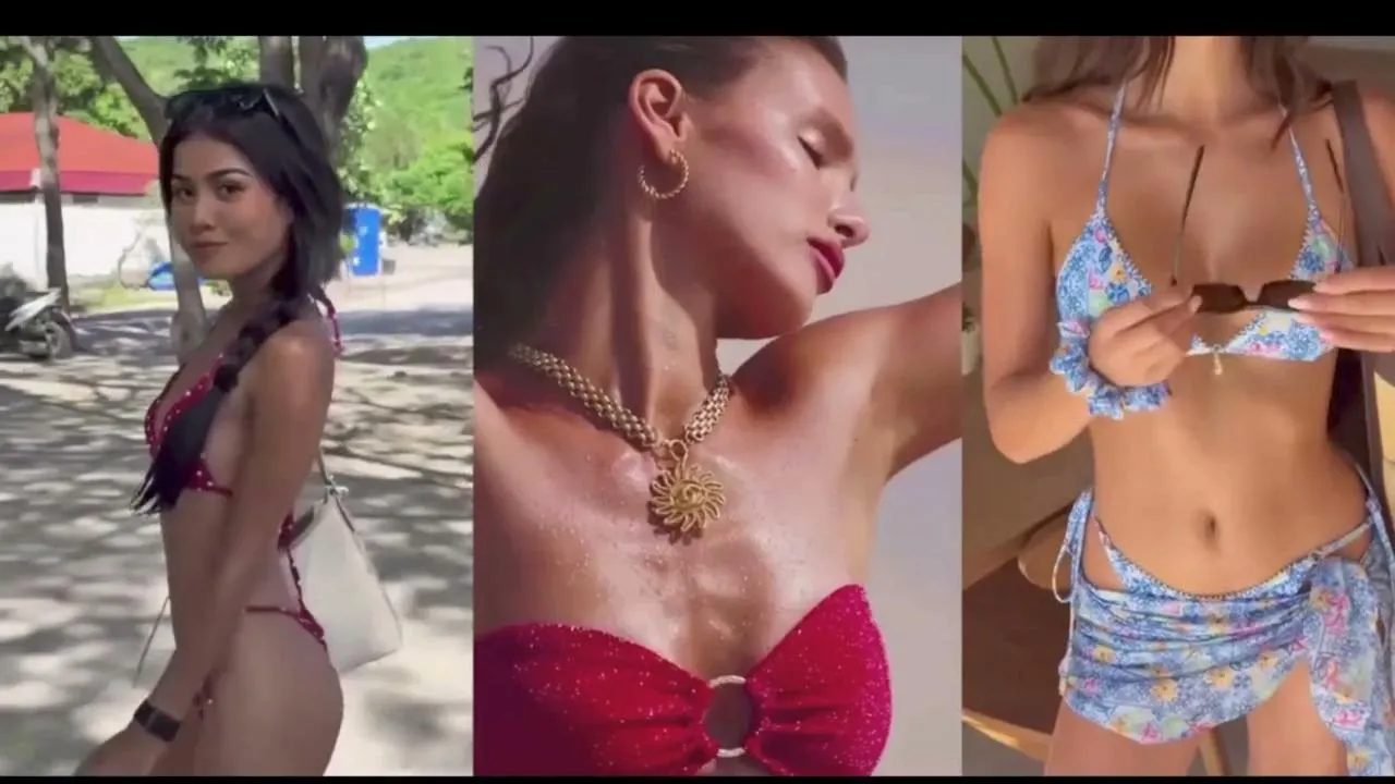 Vargverg