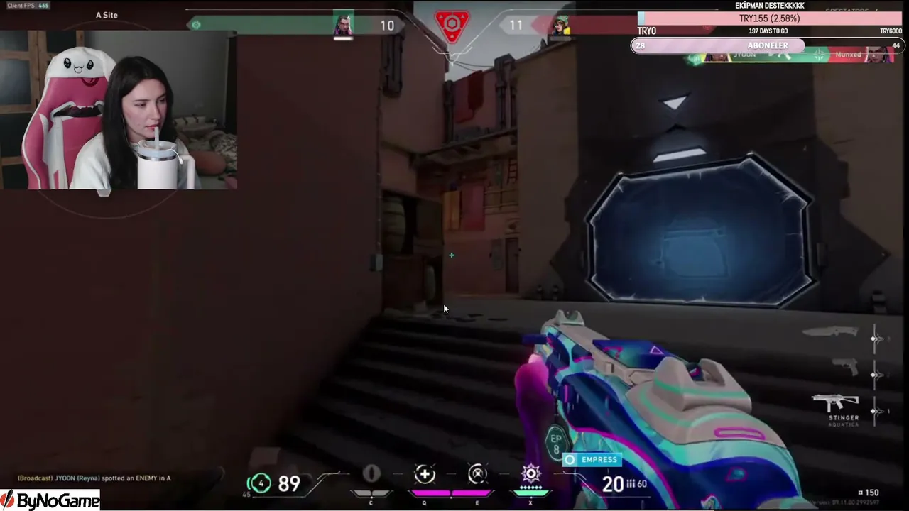 Azulasan live stream